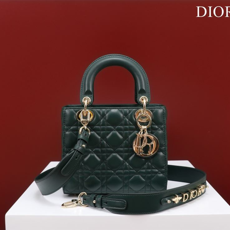 chr1st1an D10r my lady bags